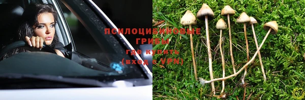 2c-b Кукмор