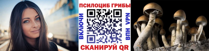 Псилоцибиновые грибы Magic Shrooms  площадка официальный сайт  Нея 